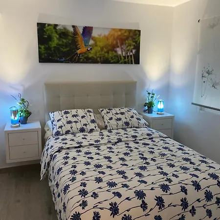 Apartment Enzo
